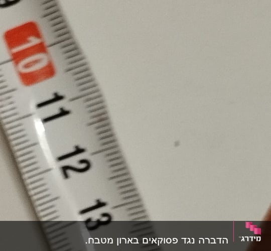 מדידת חרק זעיר לצד סרט מדידה לצורך זיהוי מזיקים